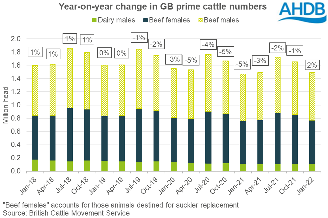 Chart showing year-on-year change in number of prime cattle in GB by quarter
